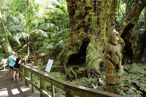 Hukutaia Domain